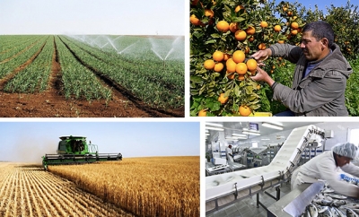 Tunisie : 200 millions d’euros de crédits et dons italiens pour le secteur agricole
