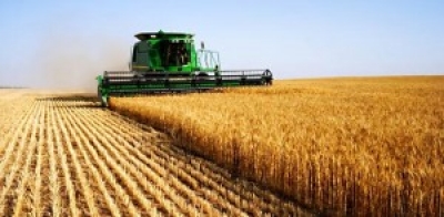 Tunisie : 7,433 millions de quintaux de céréales collectées