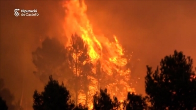 Espagne : les incendies ravagent 4 600 hectares de forêts